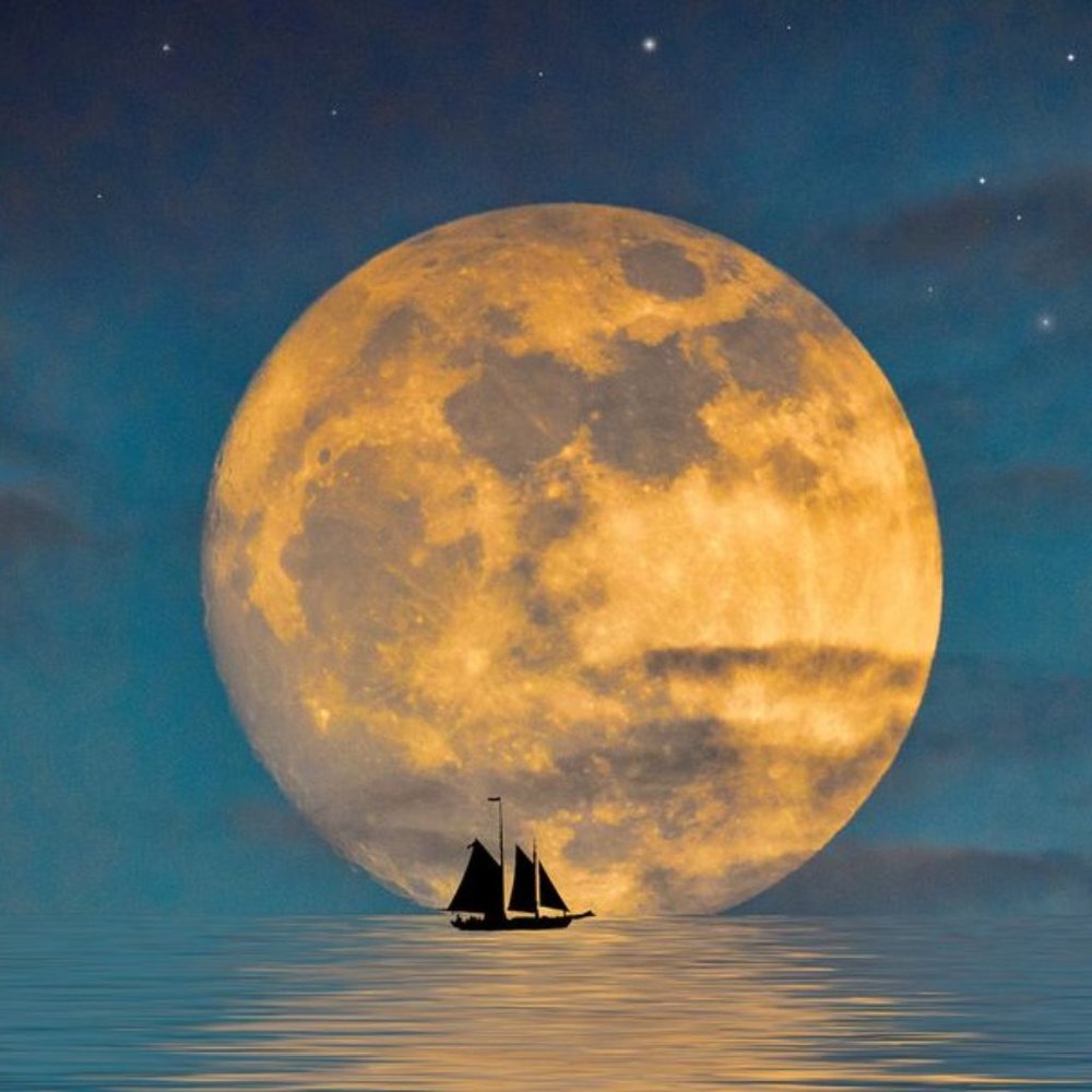 anyone have brandy melville fall/winter tops that are under $20?